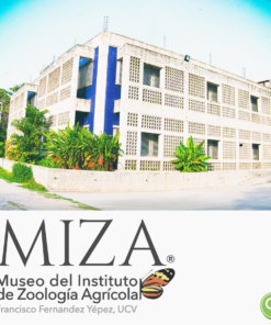 Museo MIZA-UCV